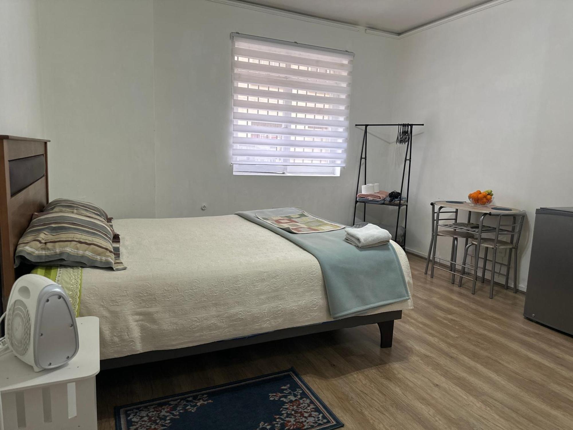 Apartamento - Departamento 1 Ambiente A Pasos Del Metro Santa Lucia Y Universidad De Chile *